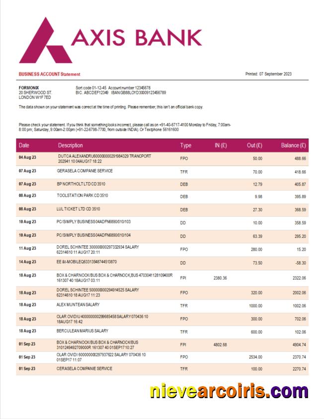 Axis Bank enterprise statement